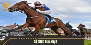 Cá Cược Đua Ngựa – Mẹo Đọc Kèo, Dự Đoán Chuẩn Từng Cuộc Đua
