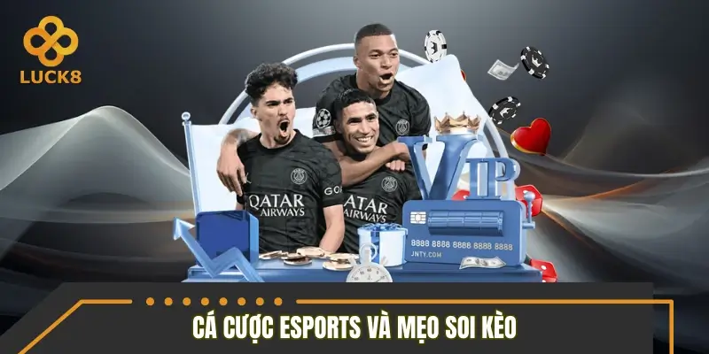Cá cược Esports và mẹo soi kèo trước giờ thi đấu Cá cược Esports và mẹo soi kèo trước giờ thi đấu
