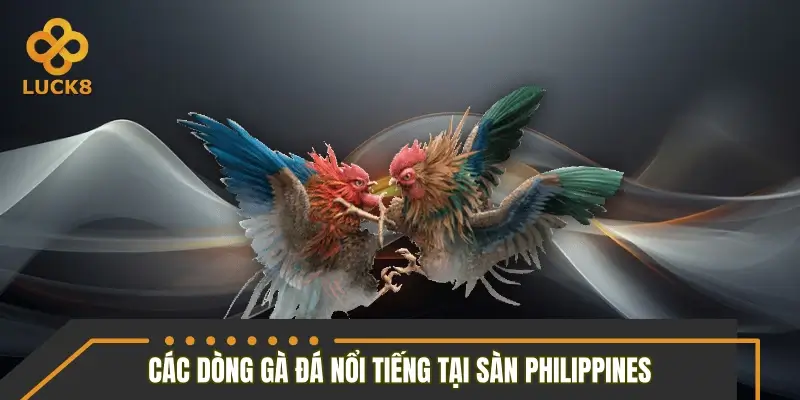 Những dòng gà đá nổi tiếng tại sàn Philippines