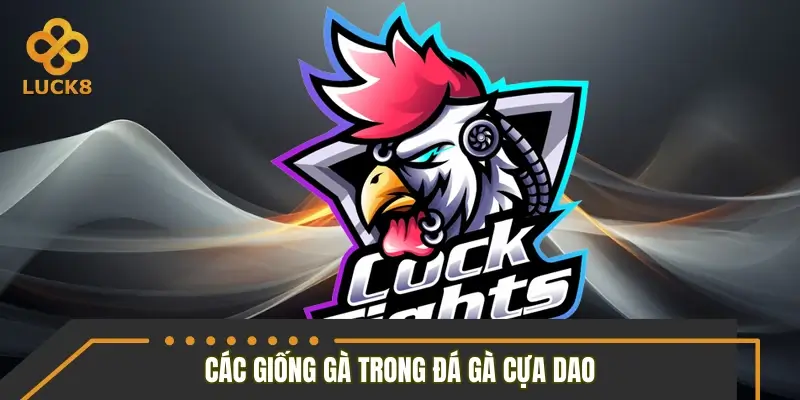Những giống gà thường xuất hiện trong các trận đấu cựa dao