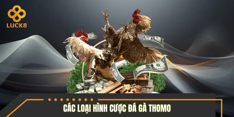 Phân loại cửa cược Thomo được áp dụng trên LUCK8