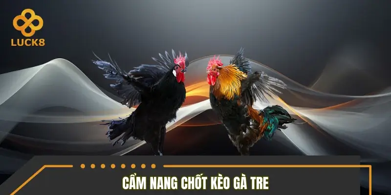 Cẩm nang chốt kèo gà tre chuẩn không cần chỉnh Cẩm nang chốt kèo gà tre chuẩn không cần chỉnh