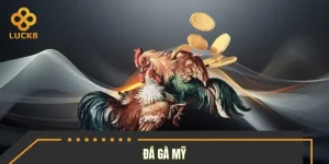Đá Gà Mỹ LUCK8 - Tìm Hiểu Nét Riêng Của Từng Dòng Gà