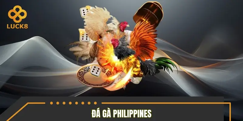 Đá gà Philippines là gì?
