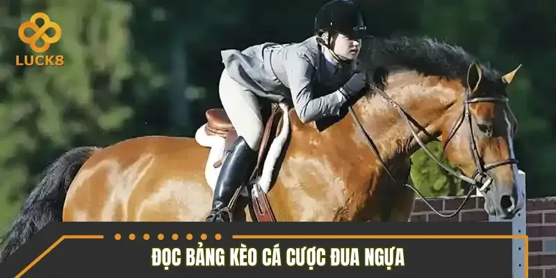 Cách đọc bảng kèo để nhận diện lợi thế ngay từ đầu