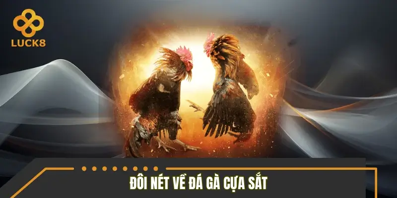 Đôi nét về đá gà cựa sắt Đôi nét về đá gà cựa sắt