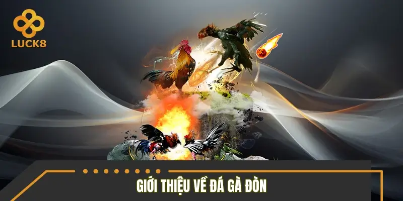 Đá gà đòn là gì?