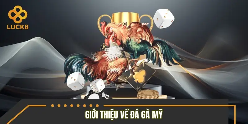 Đá gà Mỹ là gì?