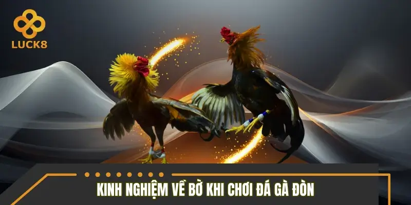 Kinh nghiệm về bờ nhanh khi chốt gà đòn