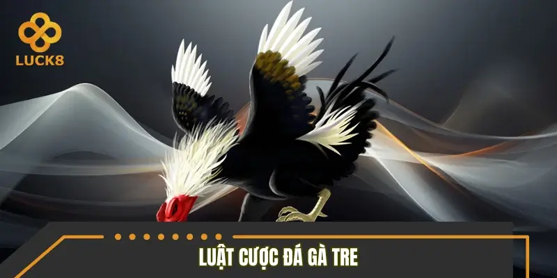 Tìm hiểu luật cược đá gà tre mới 2026 Tìm hiểu luật cược đá gà tre mới 2026