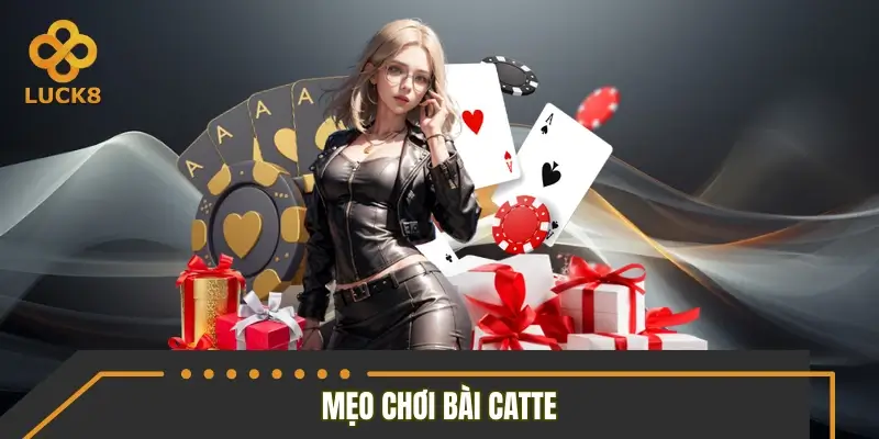 Mẹo chơi bài catte hiệu quả giúp tăng cơ hội thắng