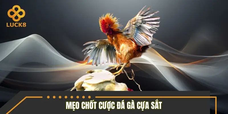 Điểm qua mẹo chốt kèo cựa sắt chuẩn như dân chuyên Điểm qua mẹo chốt kèo cựa sắt chuẩn như dân chuyên