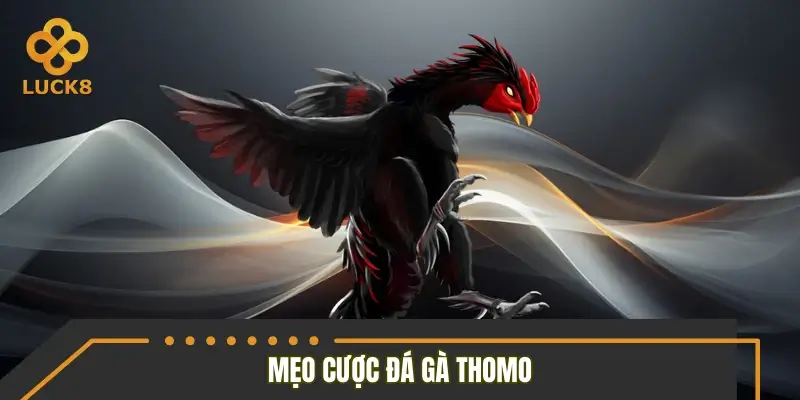 Tips chơi đá gà Thomo chinh phục mọi ván cược
