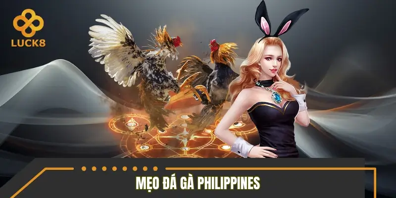 Trang bị từ A-Z mẹo đá gà Philippines hay cho tân binh