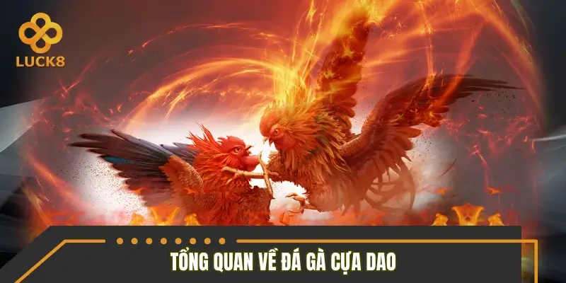 Tổng quan đá gà cựa dao