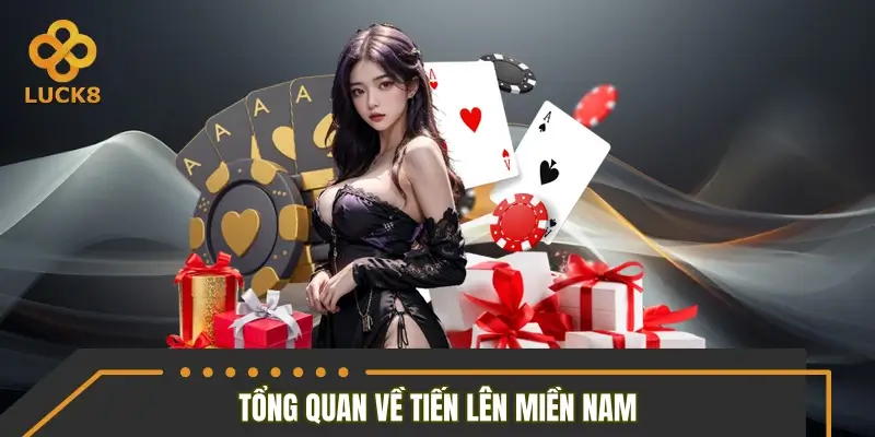 Góc nhìn tổng quan về tiến lên miền Nam