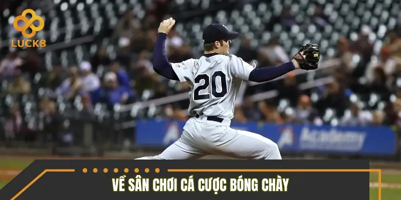 Toàn cảnh về sân chơi cá cược bóng chày Toàn cảnh về sân chơi cá cược bóng chày